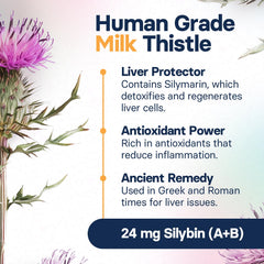 SilymarinAdvanced daily uncoated tablet displayed for simple administration