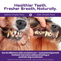 Simple Paws breath freshness effect as powder supports fresh moments after meals