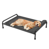 Simple Trending elevated dog bed outdoors highlighting cooling design for hot days.
