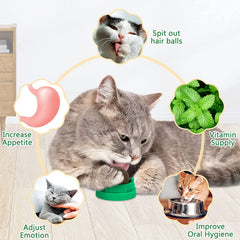 SINROBO catnip ball silvervine-flavor-lick provides alternative scent and stimulation for curious cats.