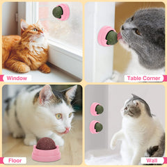 SINROBO wall-mounted treats on a surface illustrating easy setup for indoor cats