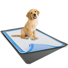 Skywin dog pad holder tray setup demonstrates easy potty-training arrangement with 24x36 pads.