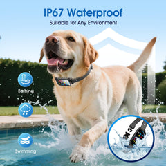 SLAYKAM ultrasonic bark collar demonstrates beeps and vibrations for humane correction.
