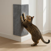 SleepGround rasca-pared-gato: superficie vertical para rascar y proteger paredes.