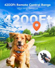 SLOPEHILL collar dual-channel image enables training two dogs simultaneously.