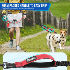 SlowTon 360° swivel clasp prevents tangles during walks.