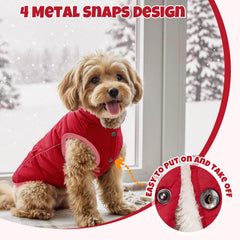 SlowTon water-resistant fabric dog coat in red, keeps dogs dry in rain or slush.