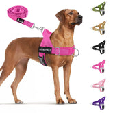 SlowTon No Pull Harness front clip for training and controlled daily walks