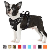 SlowTon No Pull Harness front clip aids controlled walking and reduces pulling