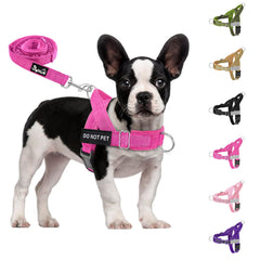 SlowTon No Pull Harness front view for easier control during walks.