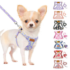 SlowTon No Pull Harness on a dog with purple daisy pattern for comfortable walks