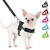 SlowTon no pull small dog harness with puppy soft vest offers comfortable fit for everyday walks.