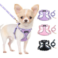 SlowTon harness purple front view for small dogs, shows breathable mesh and secure fit.