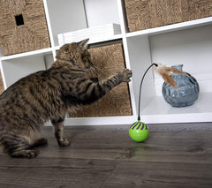 SmartyKat Feather Whirl wand tip feathers energize hunting-inspired play for cats.