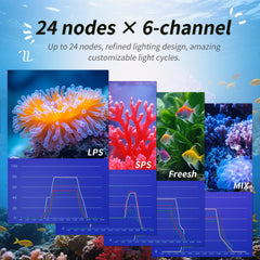 SMATFARM Aquarium Light Controller lighting simulation provides natural day-night cues for a vibrant tank.