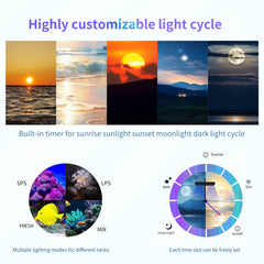 SMATFARM sunrise-sunset mode provides natural-looking day cycles for corals.