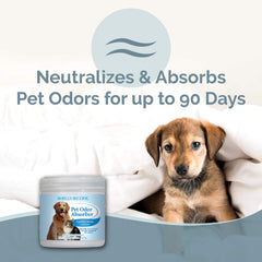 Smells Begone pet odor absorber gel jar highlights easy-to-use container design