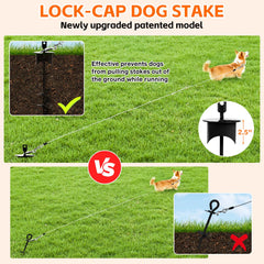 Snagle Paw 360 swivel stake prevents leash tangling during outdoor play.