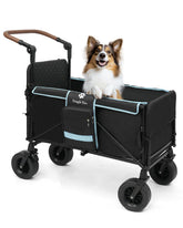 Snagle Paw extra large dog stroller front view with roomy interior for big breeds.