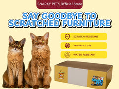 Snarky Pets Timmy XL nap-on-lounge shows cat snooze-ready comfort.