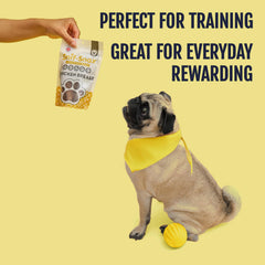 Snif-Snax smoked-chicken-breast-dog-treats slow-smoked aroma helps win picky eaters.