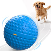 SNOYWEN chew-resistant shell closeup highlighting a durable outer layer for tough chewers