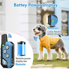 Snsng dog training collar worn on dog during outdoor walk
