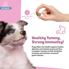 Snuggle Puppy Puppy Bites dog with bowl image conveys digestive health benefits