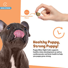 Snuggle Puppy Puppy Bites omega-3 dog supplement emphasizes fish oil benefits for coat and heart