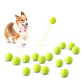 SOCO 2-inch dog tennis ball pack ready for fetch with small dogs.