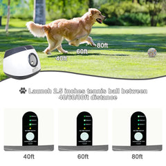 SOCO remote control in hand enabling hands-free dog playtime