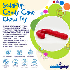 SodaPup Candy Cane closeup nylon texture highlights safe material