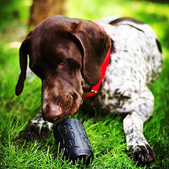SodaPup Magnum Soda Can in use with treats dispensing for canine enrichment.
