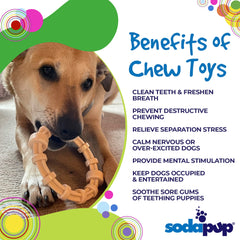 SodaPup non-toxic BPA-free material detail highlighting safe playtime