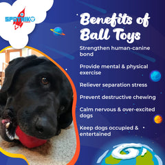 Spotnik Asteroid PuppyPrene compound for teething pups and gentle chewers