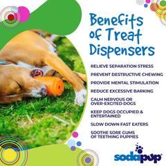 SodaPup US-made non-toxic material ensures safe pet gear.