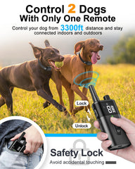 SODOG dual-dog training remote demonstrates long-range control for indoor and outdoor use