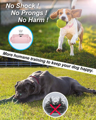 SODOG remote control in action for dog training and barking control.