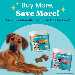Solid Gold Alaskan Salmon Oil image, skin, coat, immune support focus.
