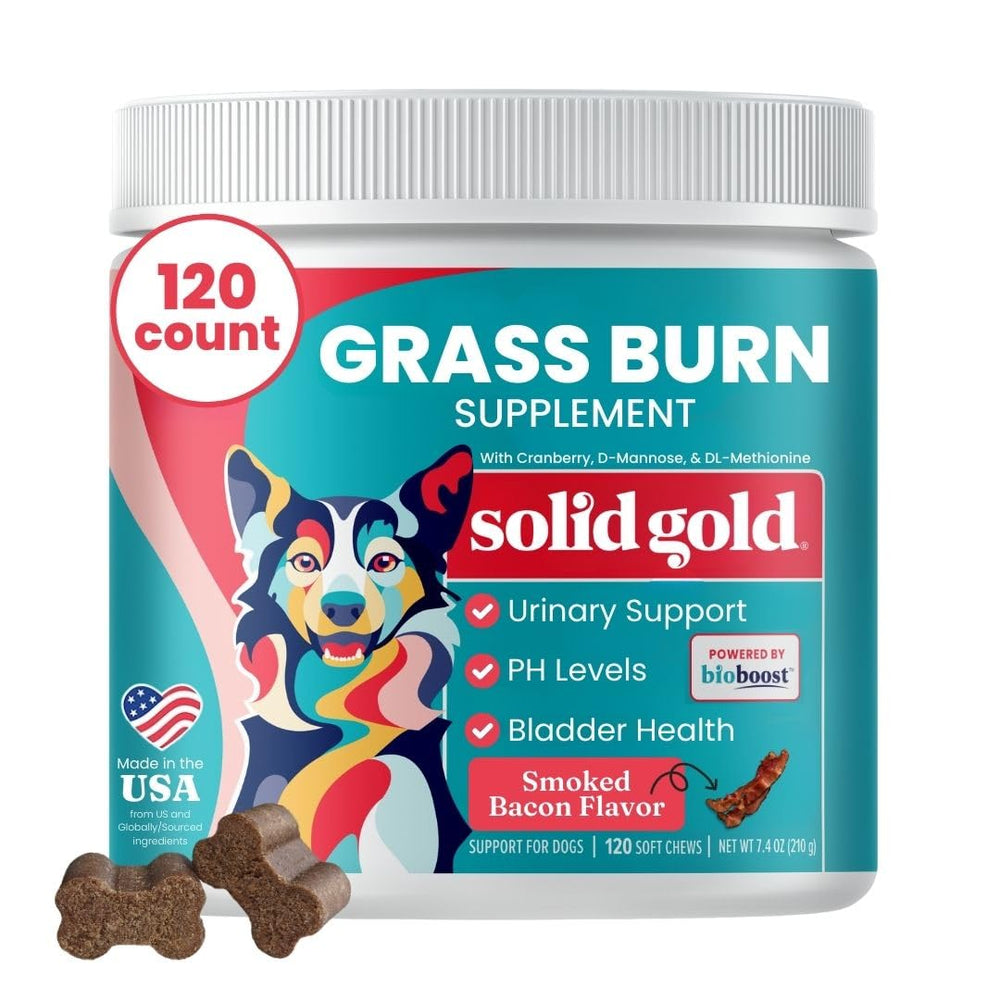 Solid Gold dog-pee-grass-repair-chews bottle-pour shows bacon flavor for easy dosing and lawn-friendly urine support