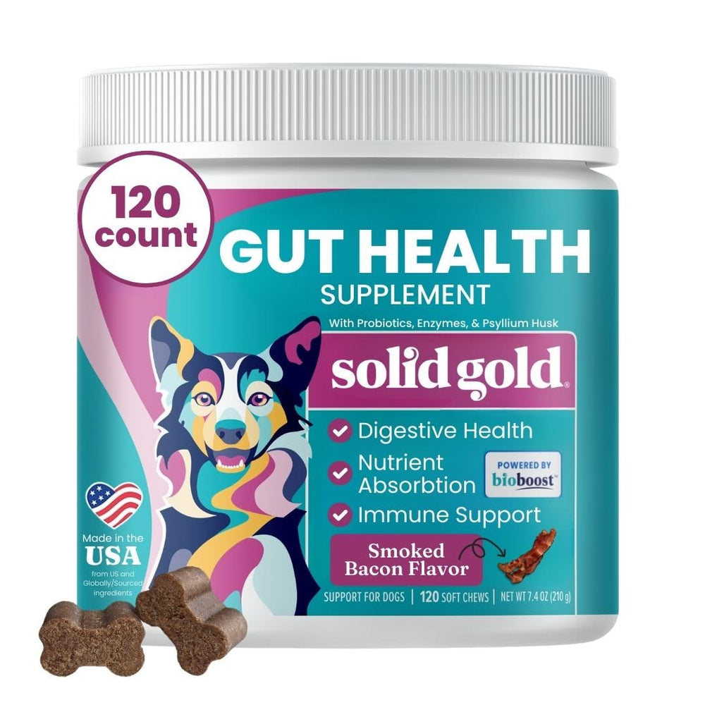 Solid Gold dog probiotics bacon chews in bowl promote gut health and digestion
