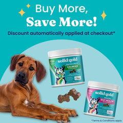 Solid Gold dog probiotics bacon chews on hand for daily use