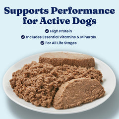 Solid Gold grain-free pate in a bowl shows premium beef flavor.