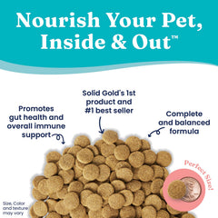 Solid Gold Hund-N-Flocken feeding bowl conveys mealtime joy and wholesome nourishment