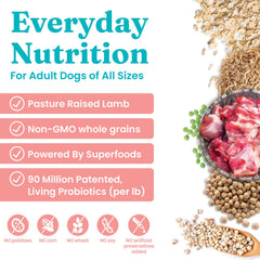 Solid Gold Hund-N-Flocken kibble closeup shows texture and wholesome ingredients for balanced meals