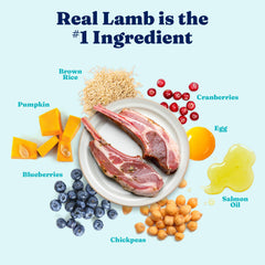 Solid Gold Lamb dog food bowl featuring complete nutrition for medium and large adult dogs.