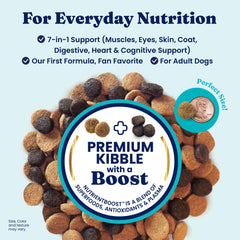 Solid Gold Lamb kibble pour demonstrates easy serving and gut-friendly digestion support.