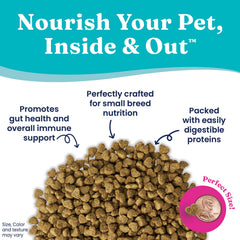 Solid Gold Mighty Mini real-beef-first-ingredient kibble supports small dogs' energy.