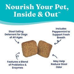 Solid Gold No Poo Chews ingredient panel lists peppermint, parsley oil, and probiotics.
