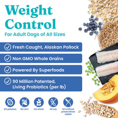 Solid Gold pollock protein dry dog food bowl emphasizes high-quality protein fueling energy.